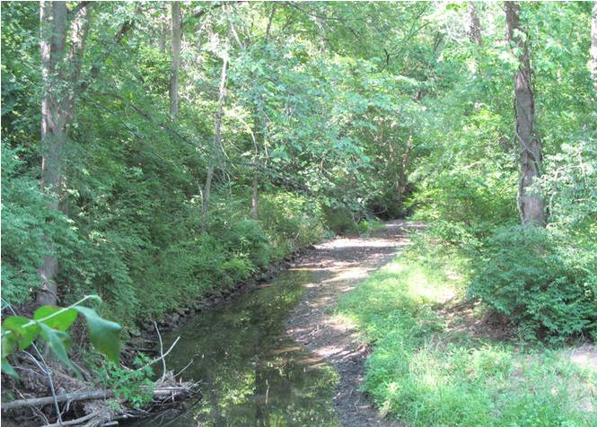 Beautiful Hunting Land For Sale in Pope County Southern Illinois